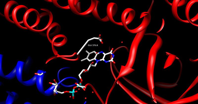 What is Medium Chain Acyl-CoA Dehydrogenase Deficiency?