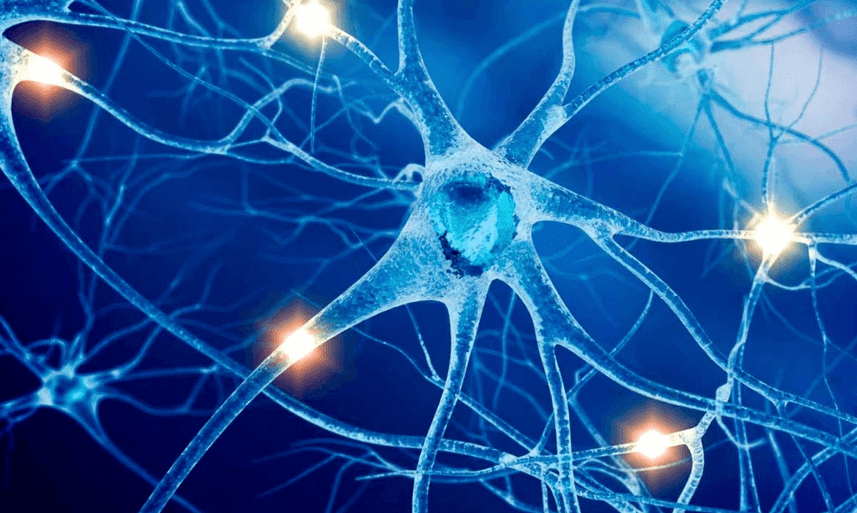 Acetylcholine: Function, Brain Role, Memory, Deficiency & How to Increase It