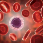 Agammaglobulinemia: Symptoms, Causes, Diagnosis, Treatment, and Living With This Rare Immune Disorder - Health Care Tips Hub