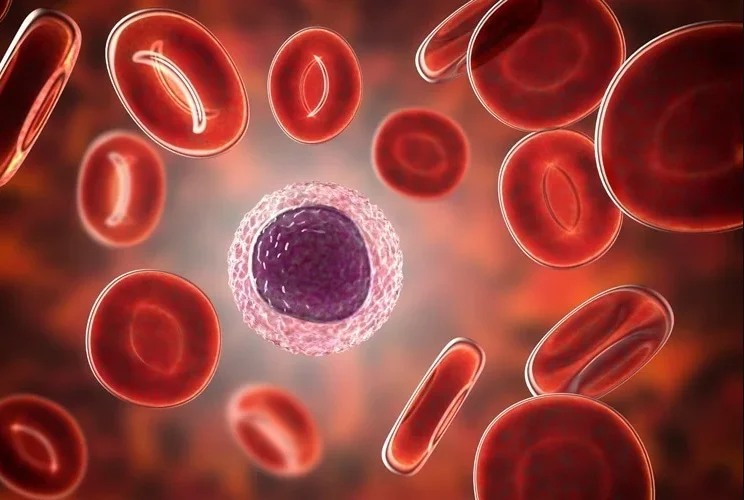 Agammaglobulinemia: Symptoms, Causes, Diagnosis, Treatment, and Living With This Rare Immune Disorder - Health Care Tips Hub