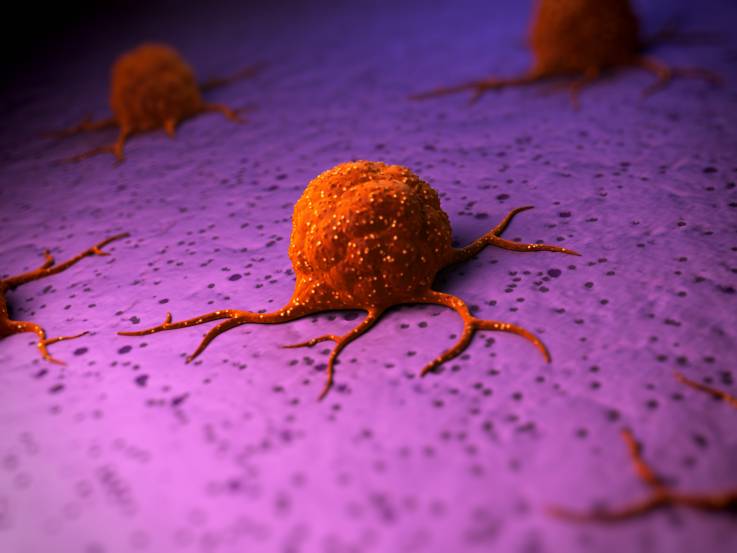 What Is Aromatase Inhibitors (AIs)?