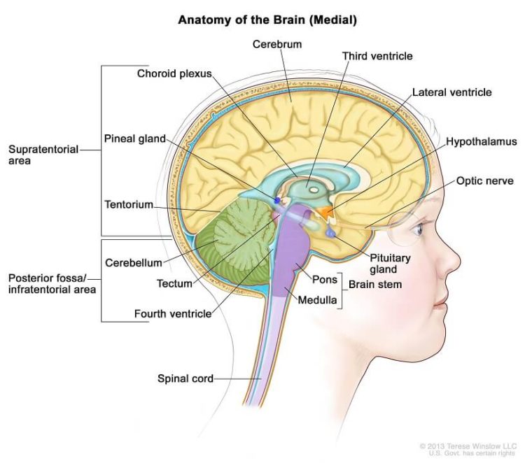 Treatment for Brain and Spinal Cord Tumors in Children