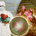 Bird Flu (Avian Influenza)