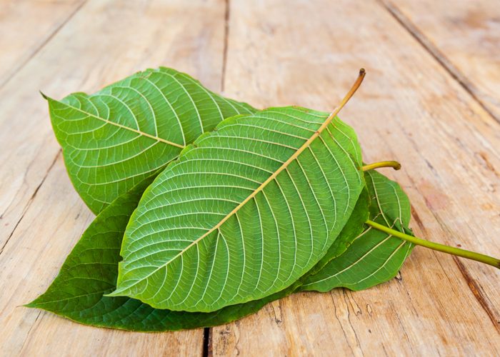 You Know About Kratom?