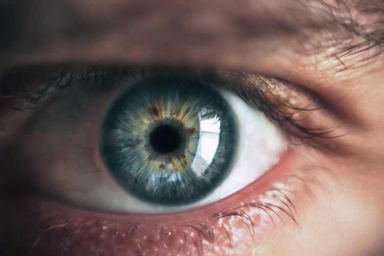 How necessary the treatment of retina is? How necessary the treatment of retina is?