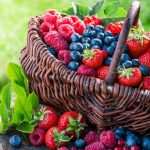 healthy lifestyle rules
