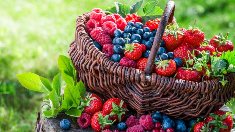10 Essential Healthy Lifestyle Rules healthy lifestyle rules