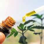 How CBD does or doesn't affect your Medication