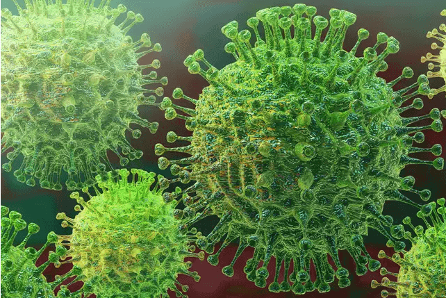 Coronavirus | healthinfi